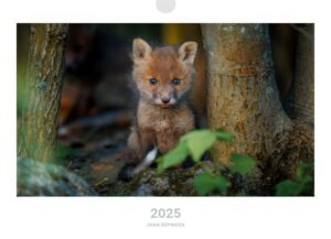 Kalender 2025