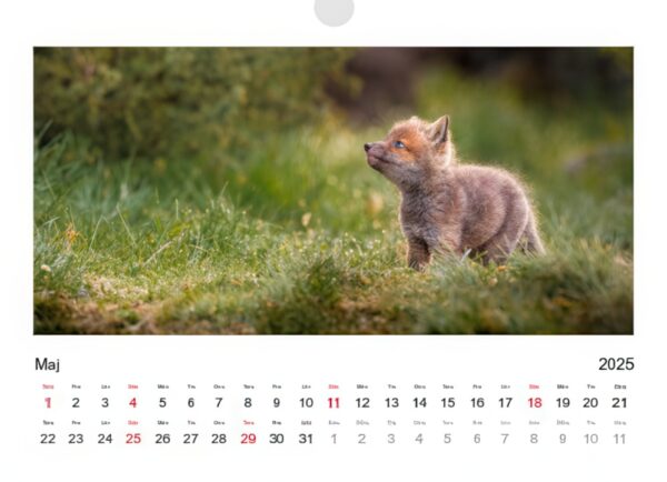 Kalender 2025 - Bild 6