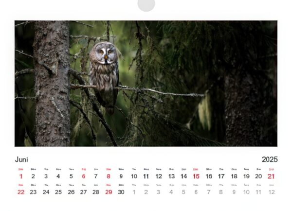 Kalender 2025 - Bild 7