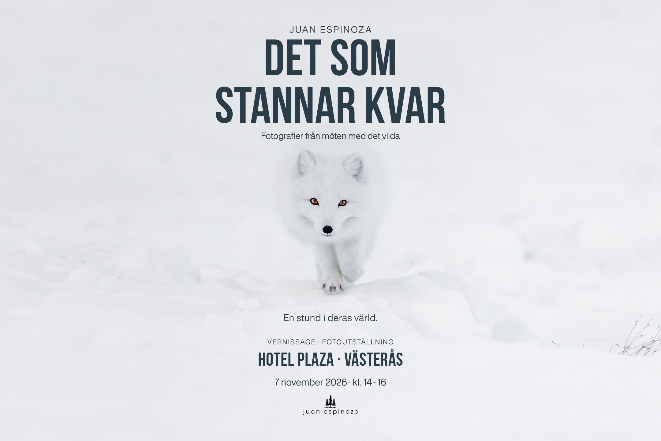 Affisch för fotoutställningen Det som stannar kvar av naturfotograf Juan Espinoza med en fjällräv i snön